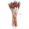 Dried Plant Bunny Tail Natural Foliage with Long Stems